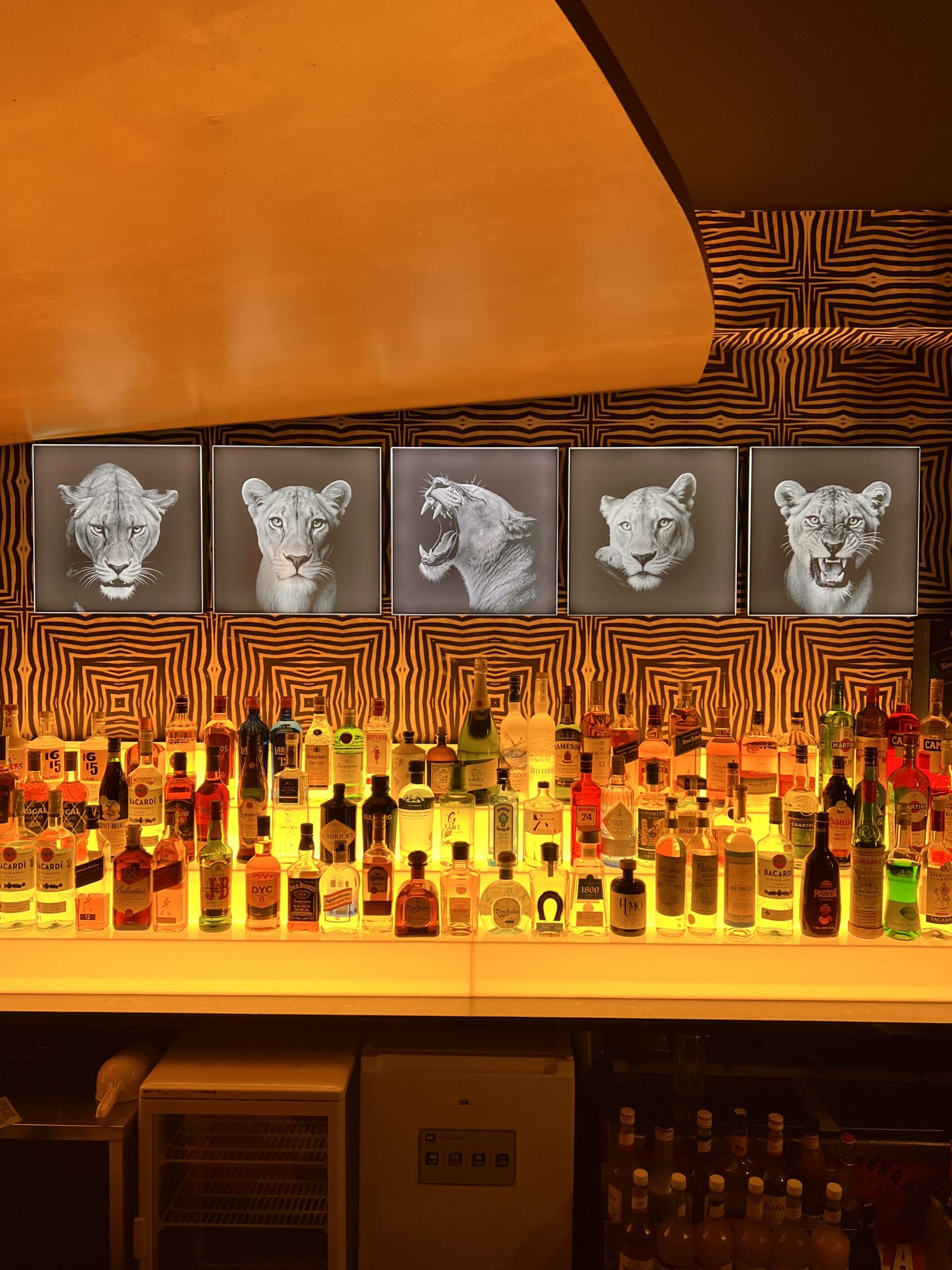 Interior Leona Bar